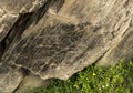 Coa River Ã¢â¬â Prehistoric Rock Engravings